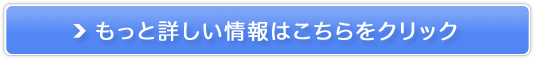 Sǂł IC_CGbgyPlezz̔TCg